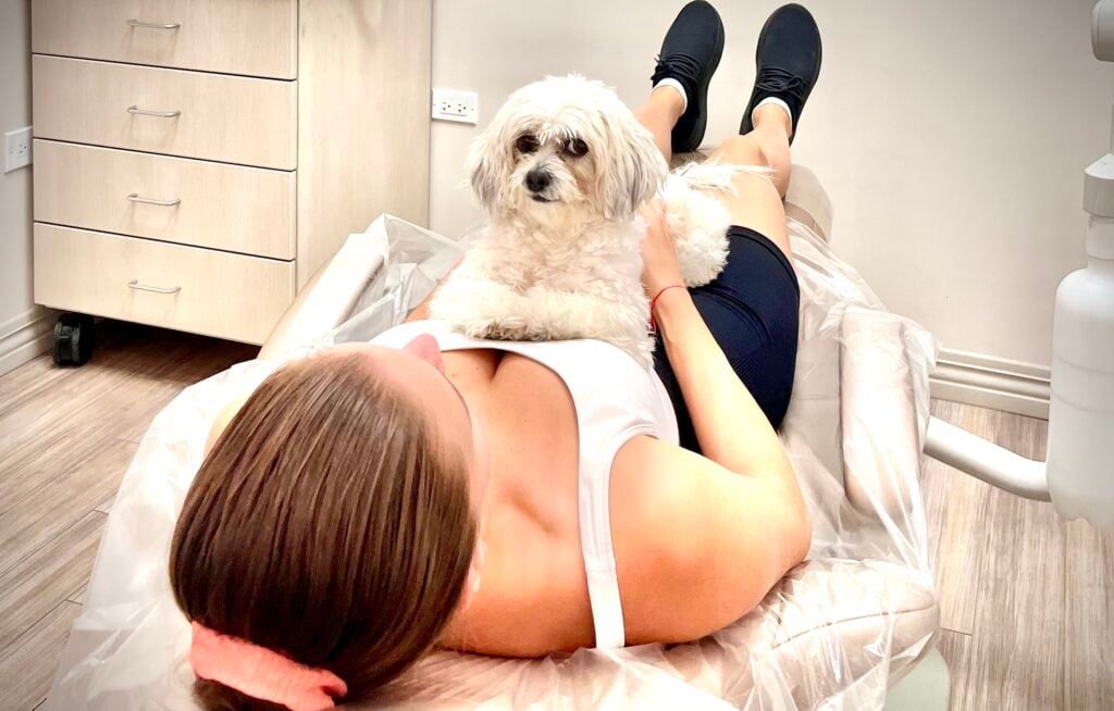Hazel the DentalQ Therapy Dog – Anxiety-Free Dental Visits DentalQ therapy dog Hazel cuddling with a patient to ease dental anxiety in Chicago